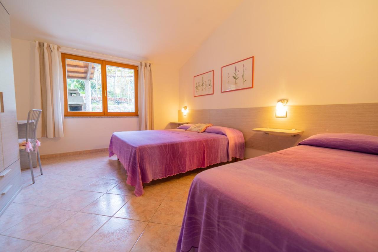 Casa Pepe - Goelba Apartman Pomonte Kültér fotó