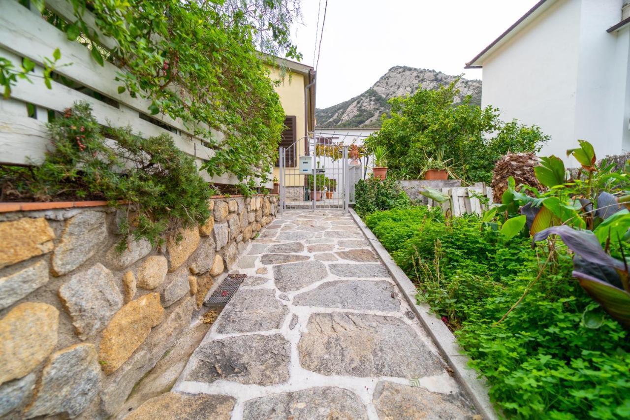 Casa Pepe - Goelba Apartman Pomonte Kültér fotó